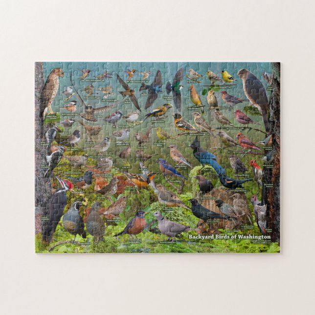 Puzzle Oiseaux Jardins de Washington (Horizontal)