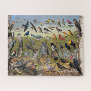 Puzzle Oiseaux Jardins du Kansas