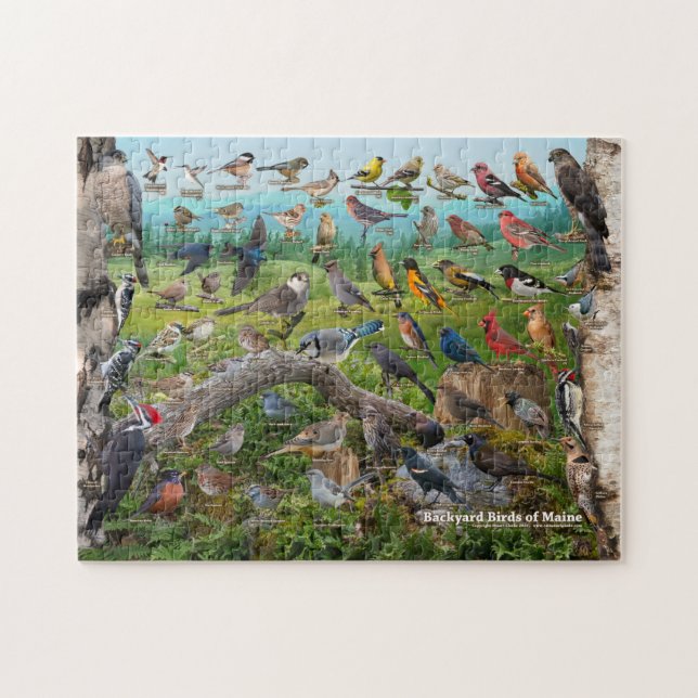 Puzzle Oiseaux Jardins du Maine (Horizontal)