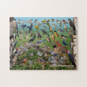 Puzzle Oiseaux Jardins du Tennessee