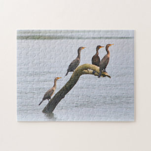 Puzzle Oiseaux Sur Le Bruant Du Bois Dérivé