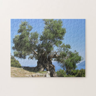 Puzzle Olivier grec (Kefalonia)