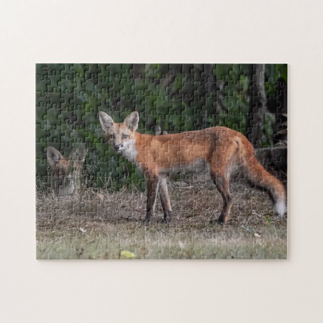Puzzle On Vous Regarde (Horizontal)