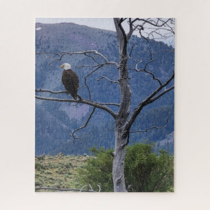 Puzzle On Watch