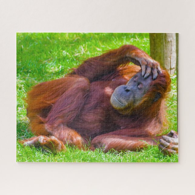 Puzzle Orang-outans. (Horizontal)