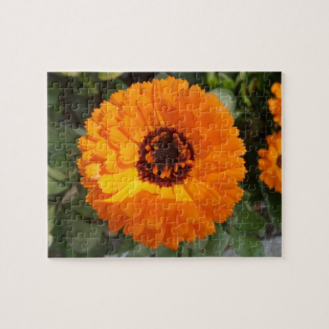 Puzzle Orange (Horizontal)