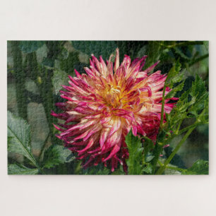 Puzzle Orange Chrysanthemum Photographie, Beauté canadien