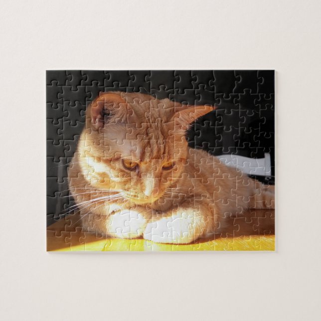 Puzzle orange de chaton (Horizontal)