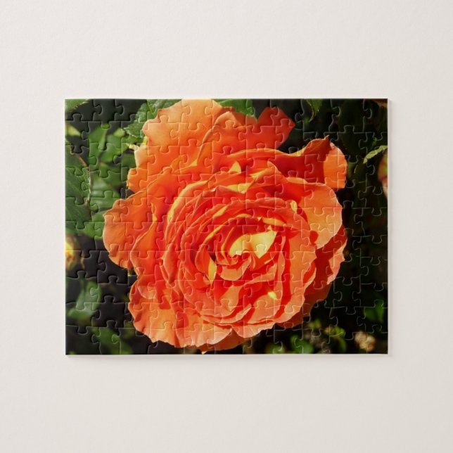 Puzzle Orange Rose I Plutôt Floral (Horizontal)