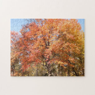 Puzzle Orangers