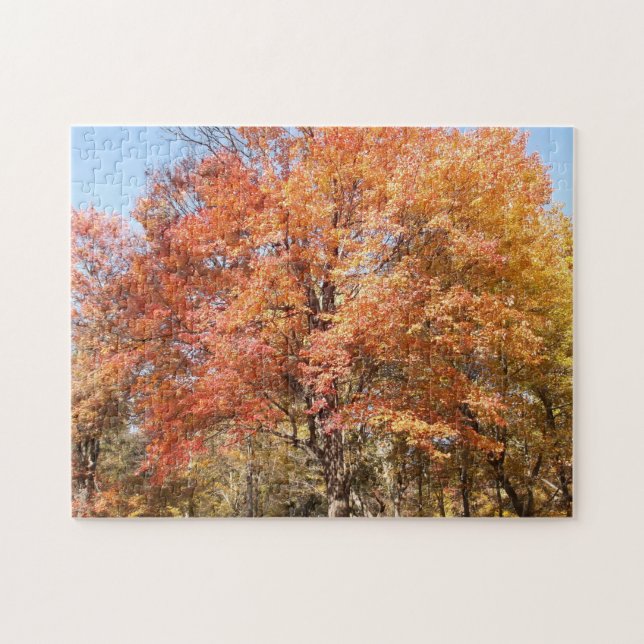 Puzzle Orangers (Horizontal)