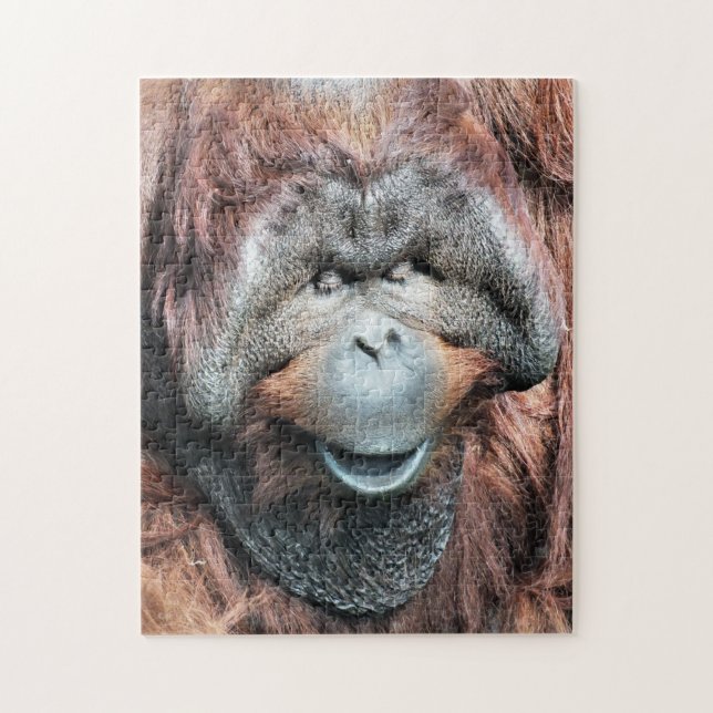 PUZZLE ORANGUTANS (Vertical)