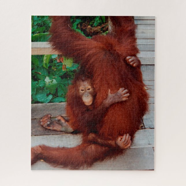 Puzzle Orangutans 520-pc (Vertical)
