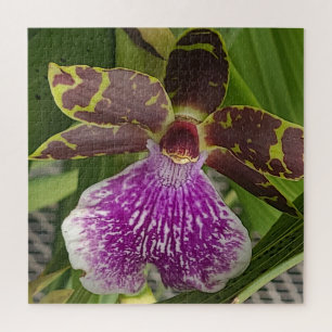 Puzzle Orchidée tachetée violette et verte
