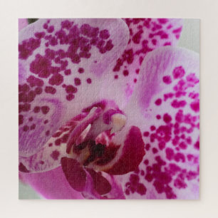 Puzzle Orchidée violette