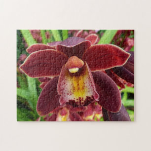 Puzzle Orchidées de Maroon I Beau Floral Rouge