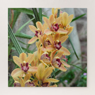 Puzzle Orchidées étoiles exotiques