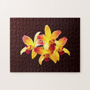Puzzle Orchidées jaunes et marrons Brassolaeliocattleya