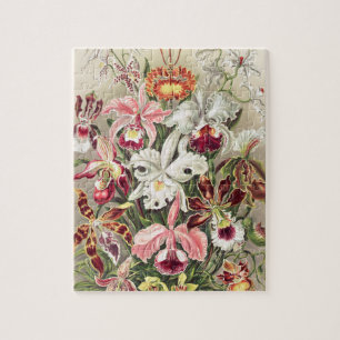 Puzzle Orchids, Orchideae Denusblumen by Ernst Haeckel