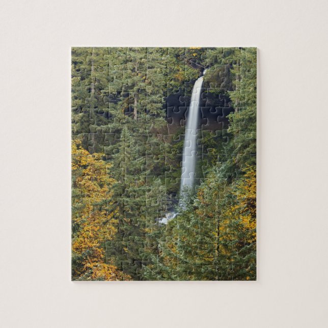 Puzzle Oregon, parc d'État de Silver Falls, North Falls (Vertical)