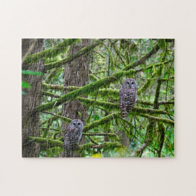 Puzzle Oregon Wild Owl. (Horizontal)