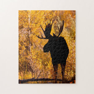 Puzzle Orignal (Alces Alces) Mâle Dans Les Saules Dorés 2