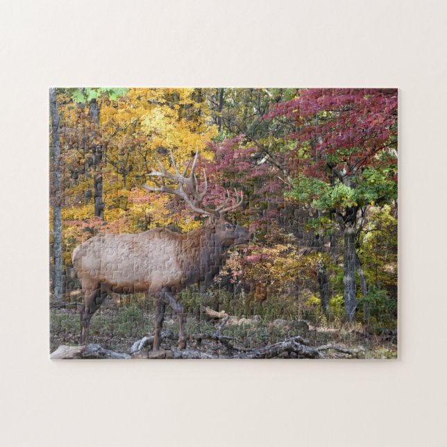 Puzzle Ornière dominante d'automne d'élans de Taureau (Horizontal)