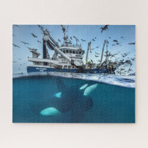 Puzzle Orque épaulard bateau de pêche commercial océan