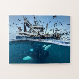 Puzzle Orque épaulard bateau de pêche commerciale océan
