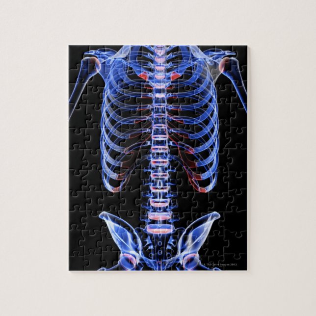 Puzzle Os du coffre 2 (Vertical)