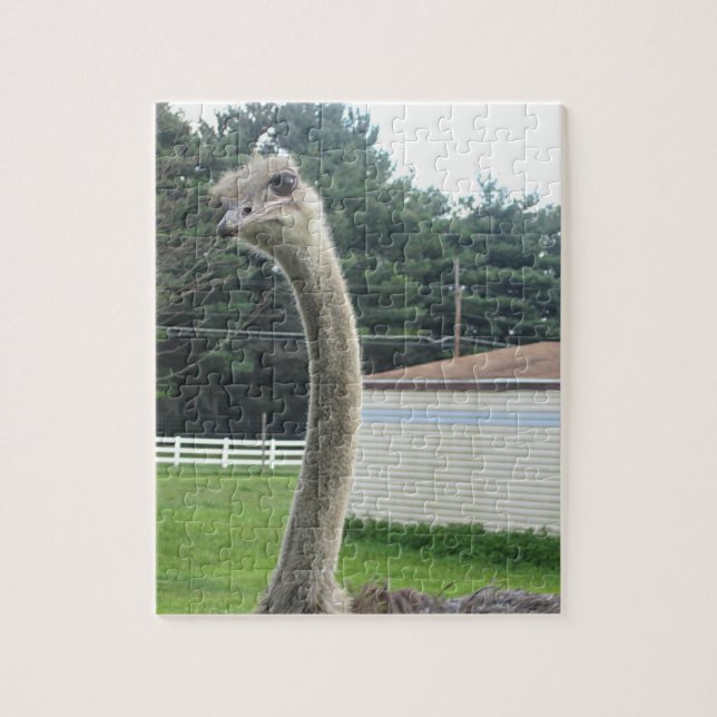 Puzzle Ostrich (Vertical)