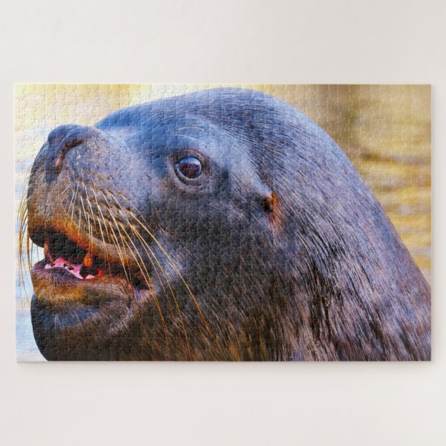 Puzzle Otaries (Horizontal)