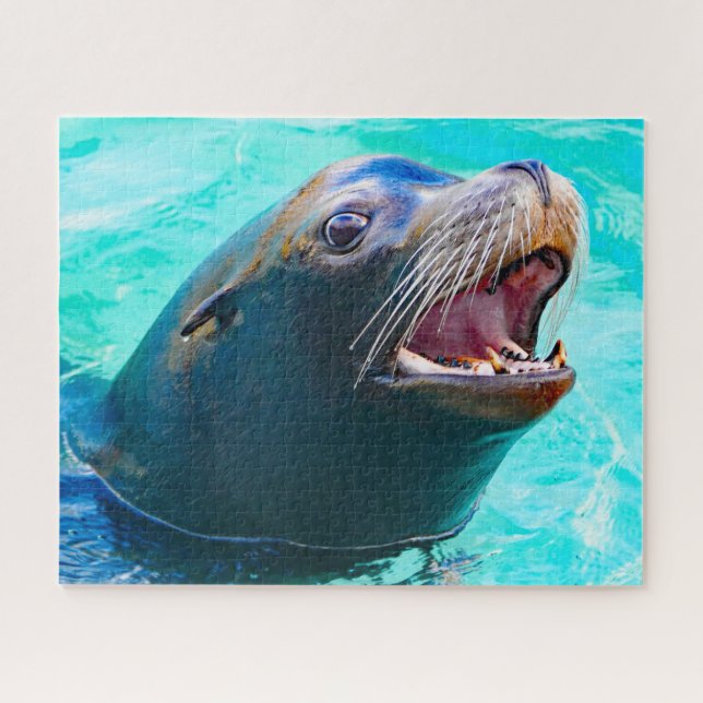 Puzzle Otaries (Horizontal)