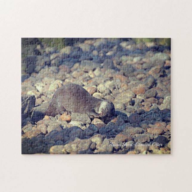 Puzzle Otter Short Clawed au zoo de Drusillas dans l'est  (Horizontal)