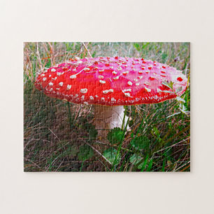 Puzzle Où Leprechauns ou où vivent les petits.