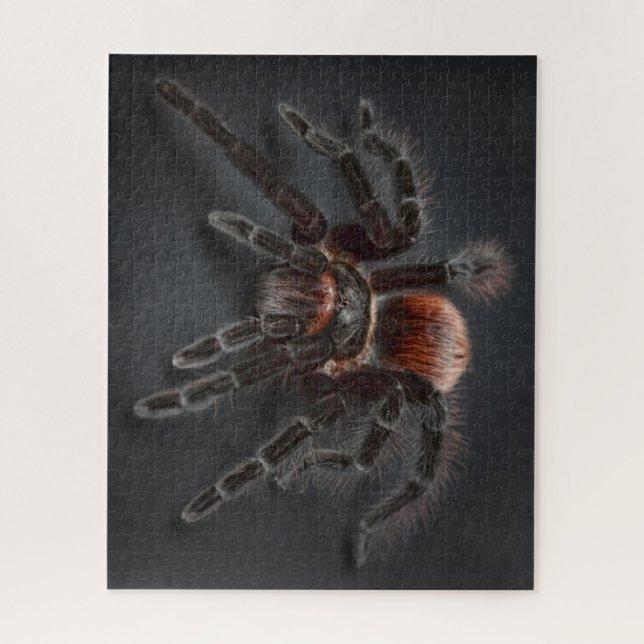 Puzzle OUAH ! Super Cool Tarantula Spider (Vertical)