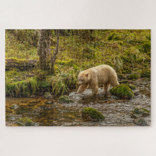 Puzzle Ours blanc fantôme chasse le poisson dans le ruiss