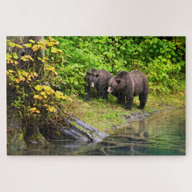 Puzzle Ours Brown & Cube | Hyder, Alaska (Horizontal)