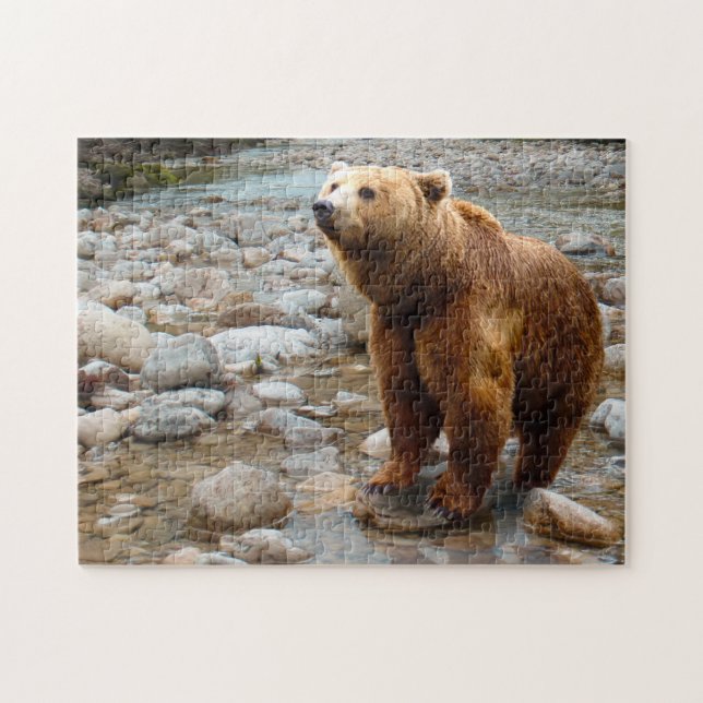 Puzzle Ours Brown dans le ruisseau (Horizontal)