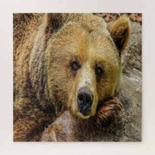 Puzzle Ours Brown sauvage