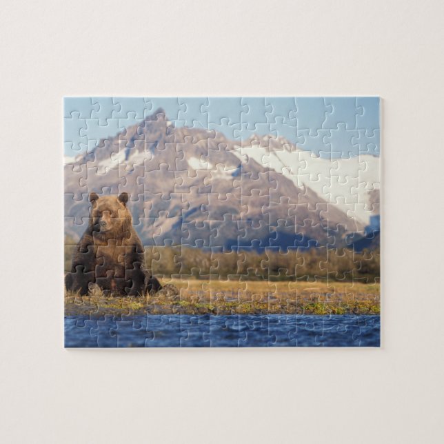 Puzzle ours brun, Ursus arctos, grizzli, Ursus (Horizontal)