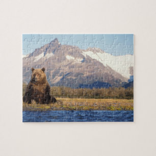 Puzzle ours brun, Ursus arctos, grizzly, Ursus