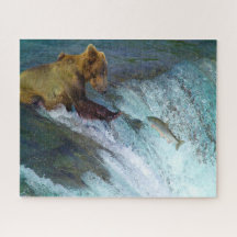 Ours bruns Kodiak Jigsaw pêchant.