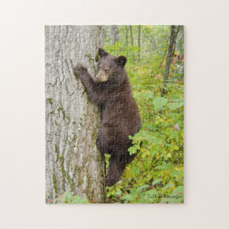 Puzzle Ours CUB dans l'arbre