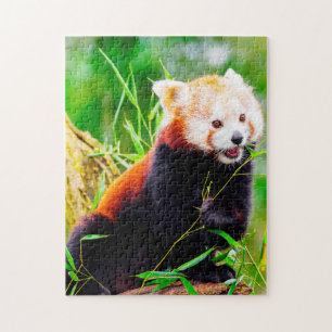 Puzzle Ours De Panda Rouge.