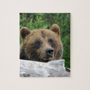 Puzzle Ours gris d'Alaska, le Kodiak