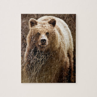 Puzzle Ours grizzli Brown sauvage - Wilderness
