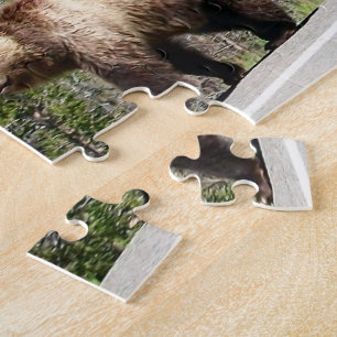 Puzzle Ours grizzli sauvage Mama et les oursons à Yellows