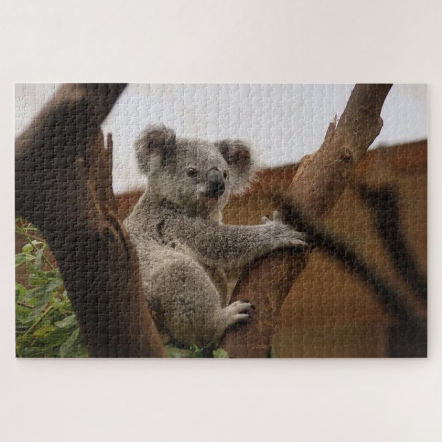 Puzzle Ours koala gris sur un arbre (Horizontal)