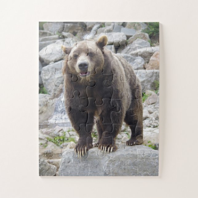 Puzzle Ours kodiak (Vertical)